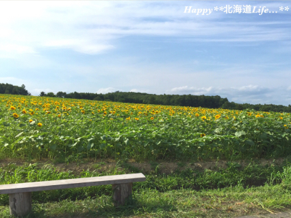 a0337860_21473449.jpg