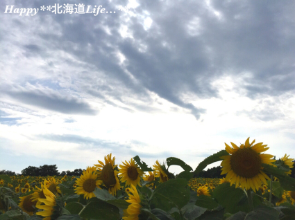 a0337860_21473488.jpg