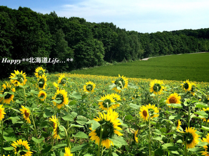 a0337860_21473607.jpg