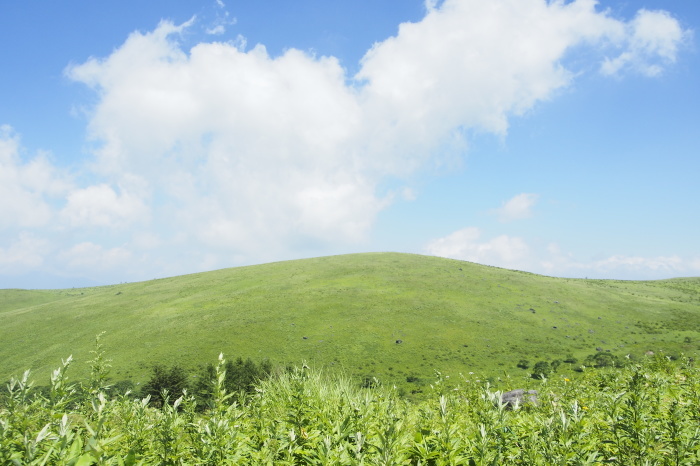 e0307372_18541242.jpg