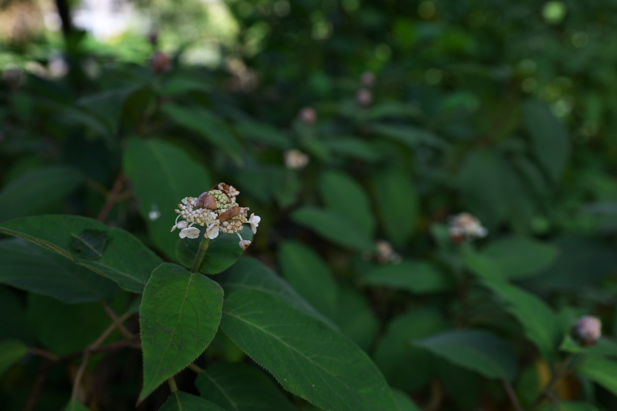 a0083081_20464176.jpg