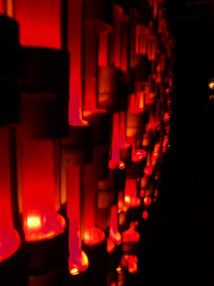 f0248782_1329324.jpg