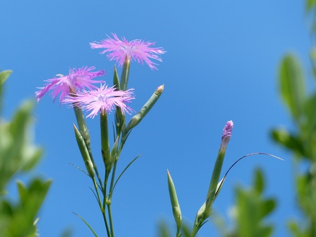 f0357487_2217083.jpg