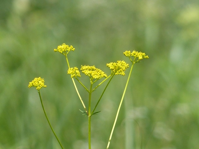 f0357487_22174811.jpg