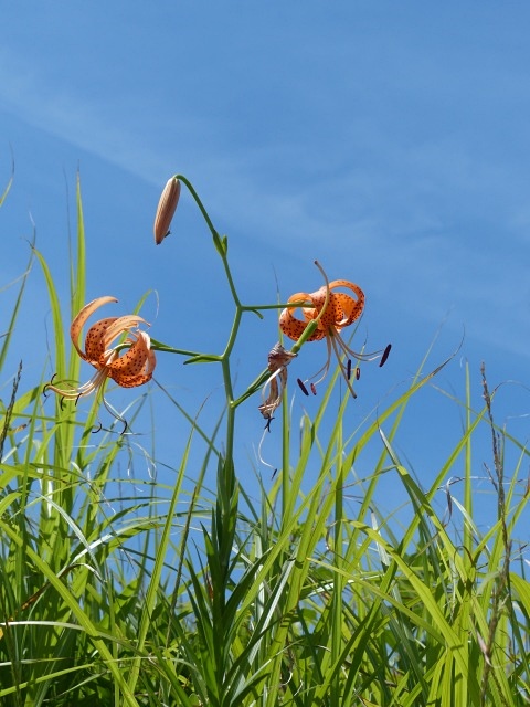 f0357487_22202511.jpg