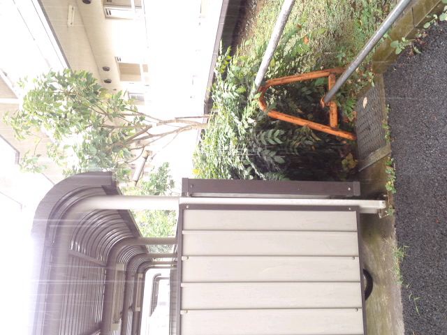 c0123890_2057512.jpg