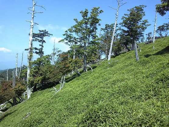 e0307890_14543845.jpg