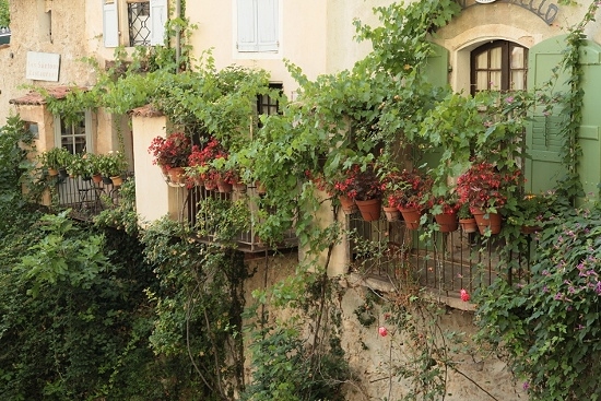 e0209997_0411253.jpg