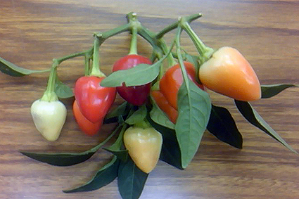 f0008597_22492568.jpg