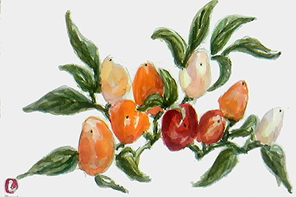 f0008597_22493711.jpg