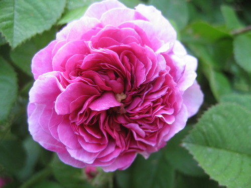 f0201297_2222346.jpg