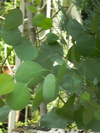c0152002_17485497.jpg