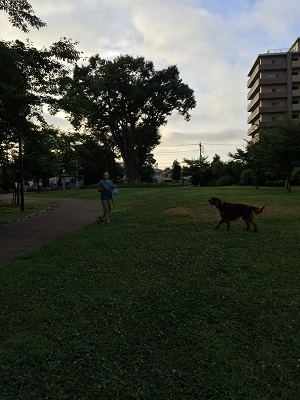 a0134004_16344554.jpg
