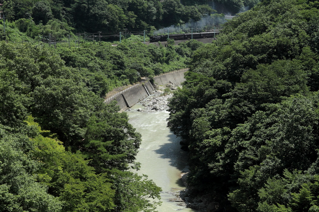 b0190710_22201132.jpg