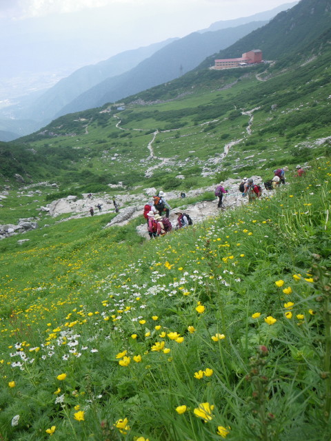 d0006512_15302240.jpg