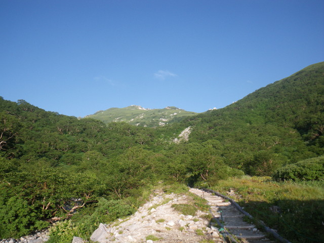 d0006512_16534288.jpg