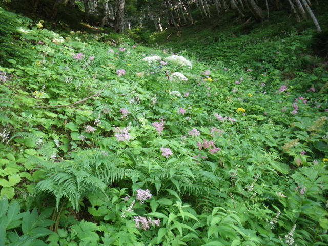 d0006512_16570737.jpg