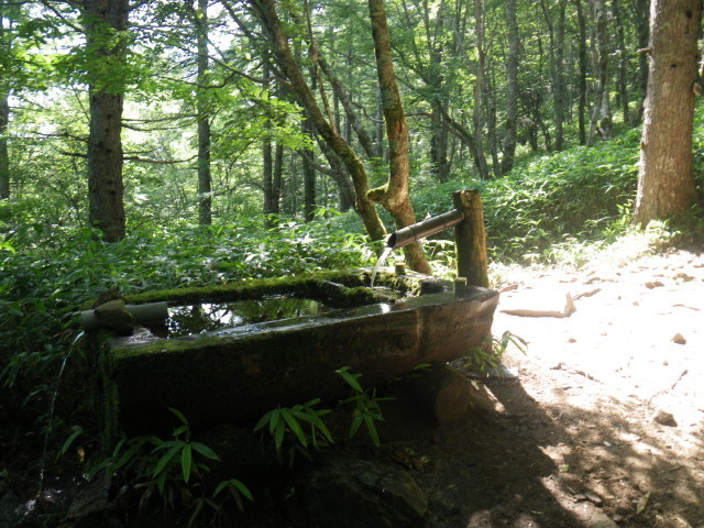 d0006512_17003235.jpg