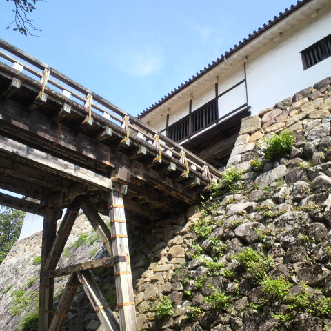 e0099212_20373358.jpg