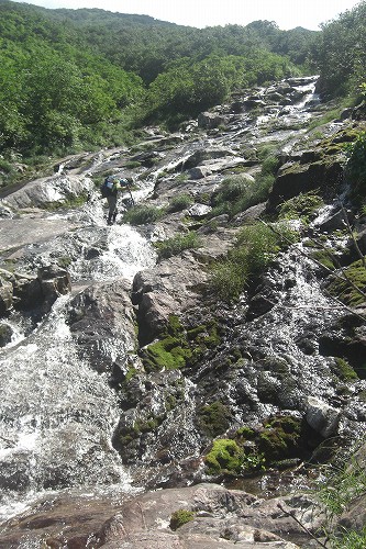 c0048117_16395478.jpg