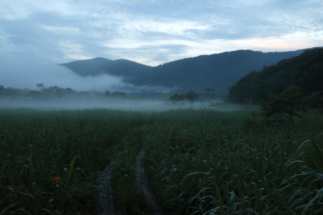 f0017530_22491.jpg