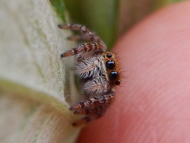 f0118332_23364456.jpg
