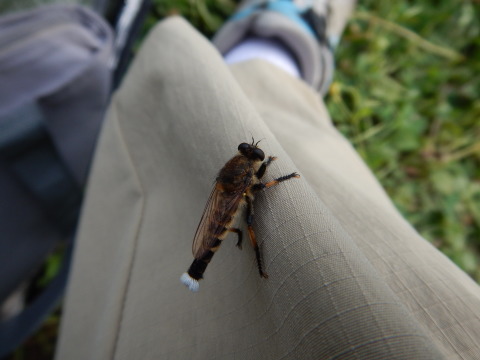 f0118332_23375189.jpg
