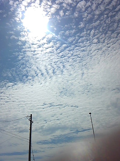 b0027736_2244373.jpg