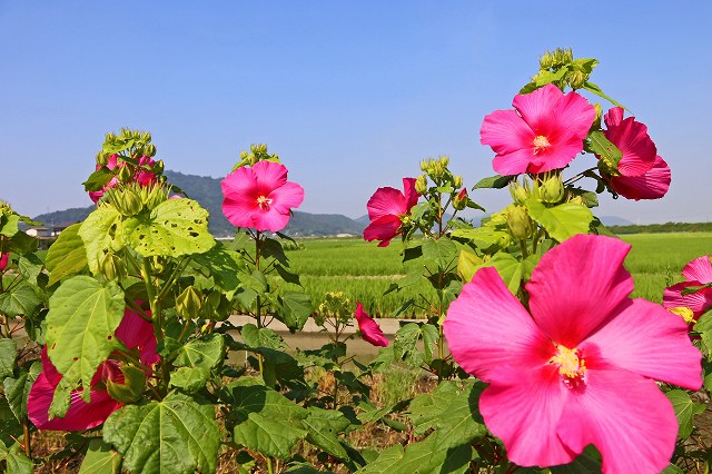 a0242438_1845641.jpg