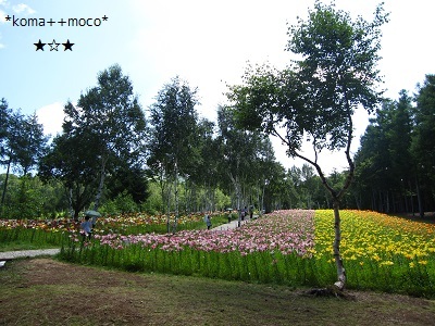 b0310842_18481527.jpg