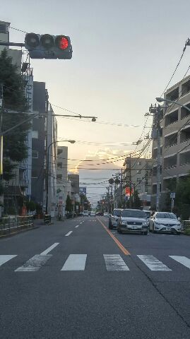 b0090243_11384163.jpg