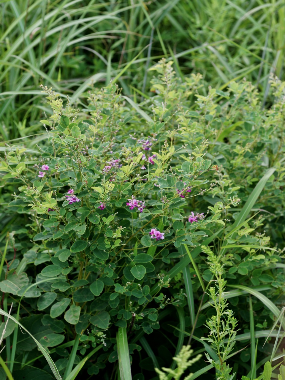 c0008948_14502057.jpg