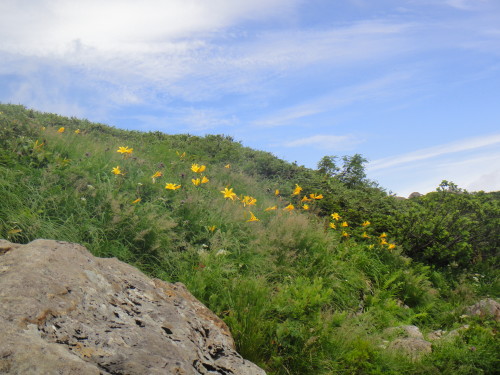 c0179351_10575174.jpg