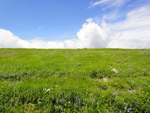 c0179351_11101896.jpg