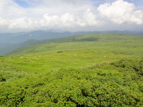 c0179351_11143318.jpg