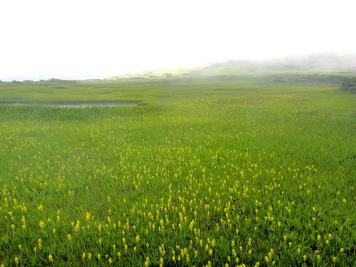 c0179351_11162985.jpg