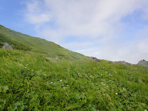 c0179351_1123245.jpg
