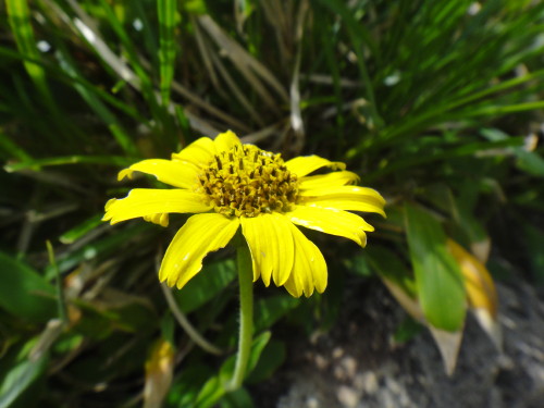 c0179351_1135988.jpg