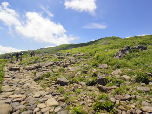 c0179351_1144541.jpg