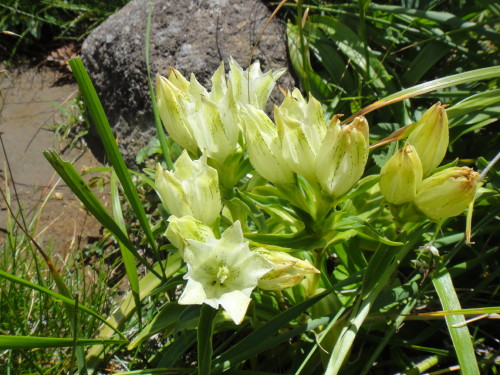 c0179351_1163313.jpg