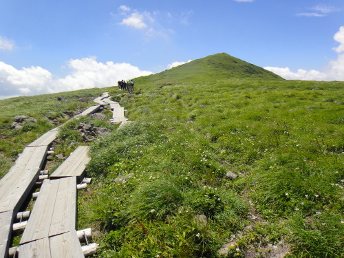 c0179351_1191251.jpg