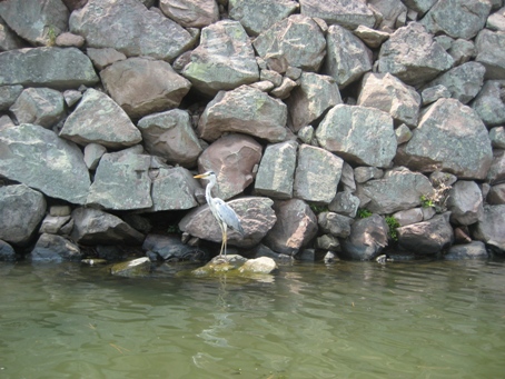 f0202151_14333735.jpg