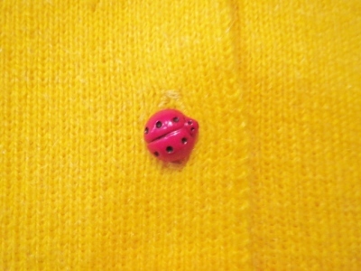a0159652_18554147.jpg