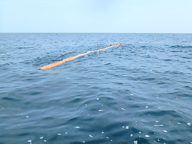a0248152_18483435.jpg