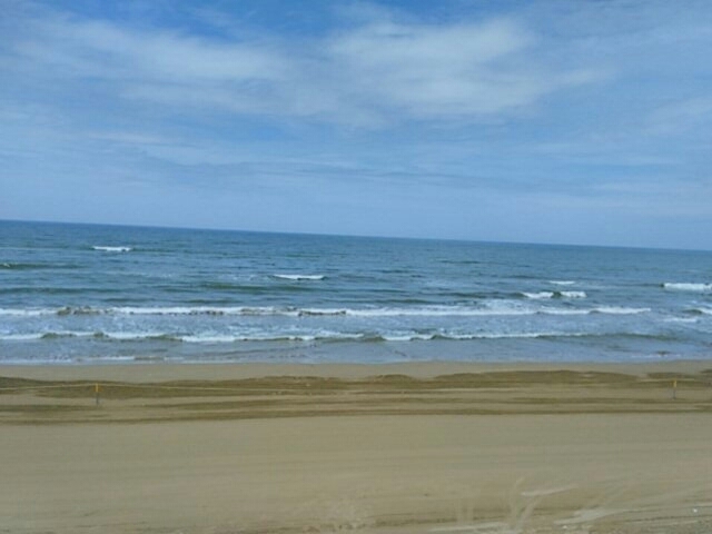 a0334855_20034651.jpg