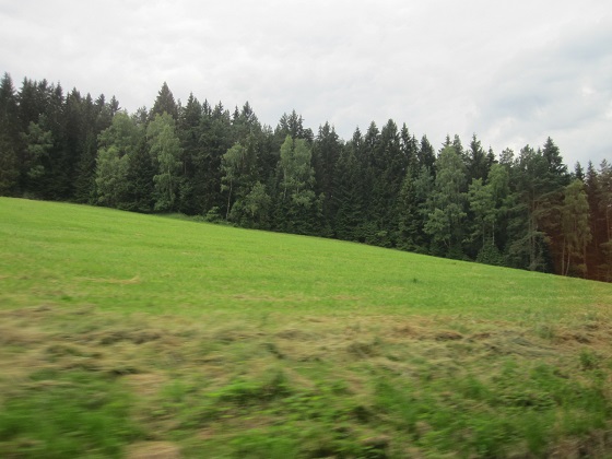 d0158258_16175162.jpg