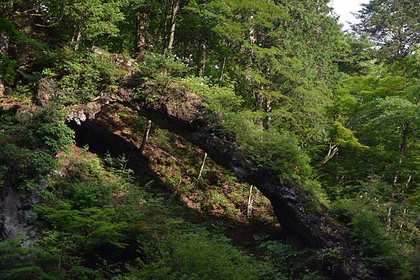 c0043361_2222098.jpg