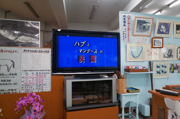 c0048265_1753323.jpg