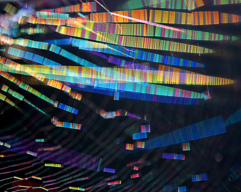 c0305565_18175434.jpg