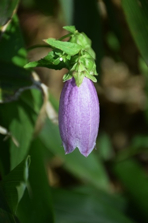 f0342371_18205327.jpg